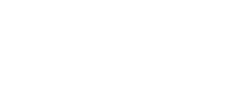 Panthera Mega Services L